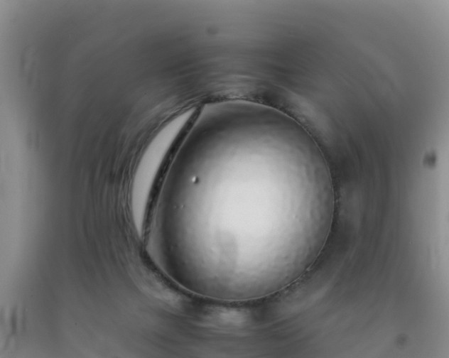 X0000092100073200709191316