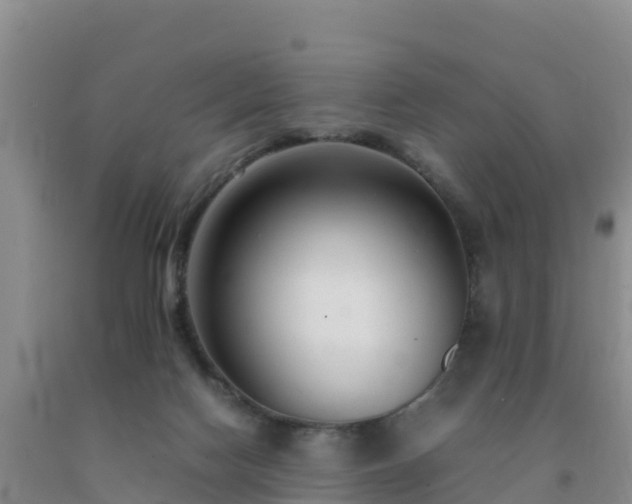 X0000092100074200709191316