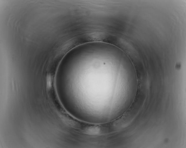 X0000092100075200709191316