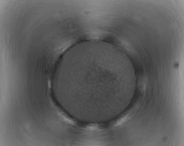 X0000092100076200709191316