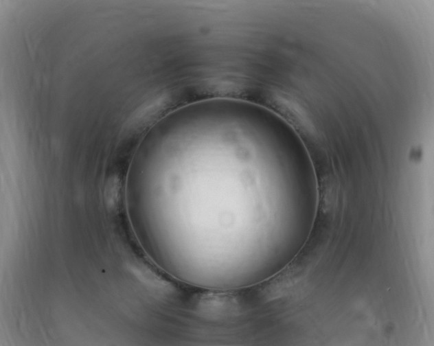 X0000092100077200709191316