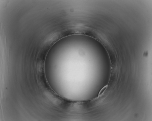 X0000092100078200709191316