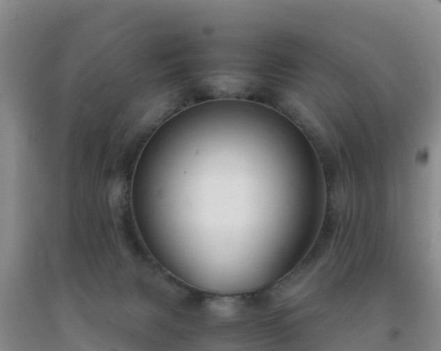 X0000092100079200709191316