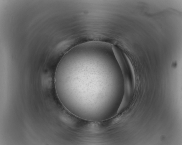 X0000092100080200709191316