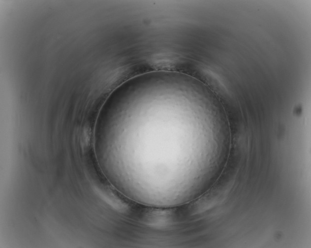 X0000092100081200709191316