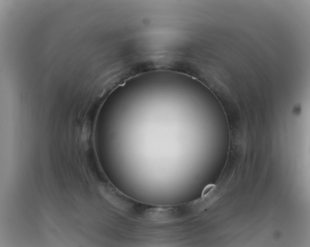 X0000092100082200709191316