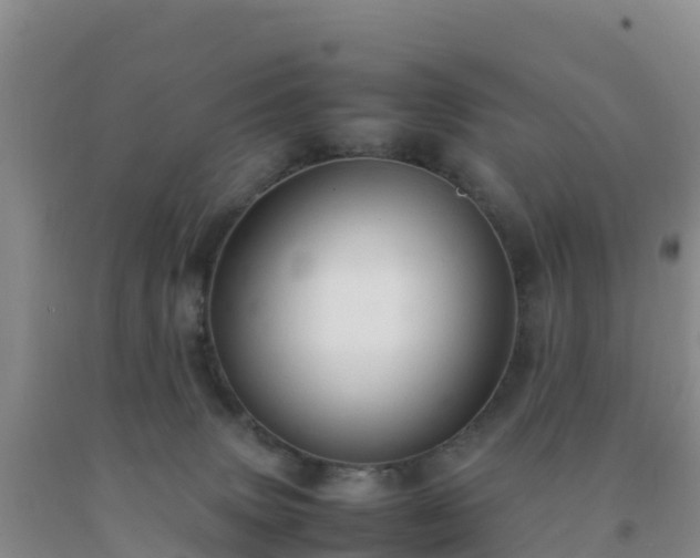 X0000092100083200709191316