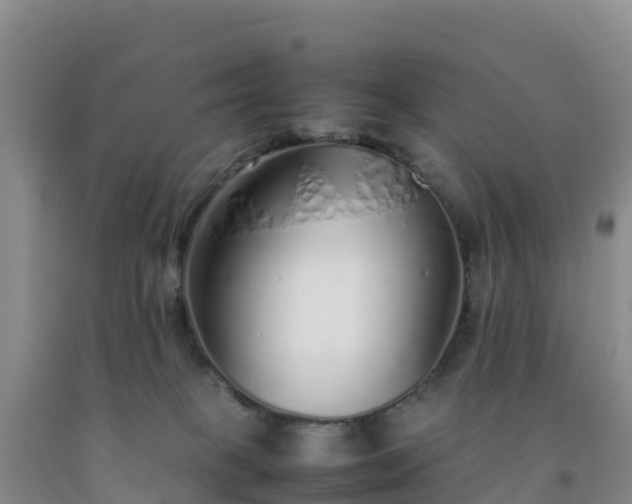 X0000092100085200709191316