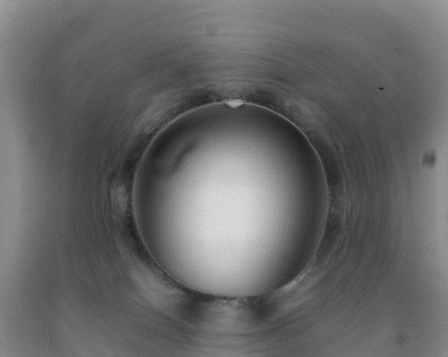 X0000092100086200709191316