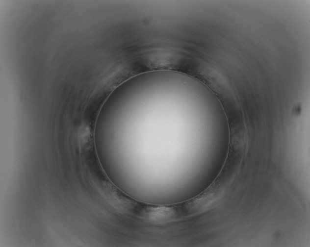 X0000092100087200709191316