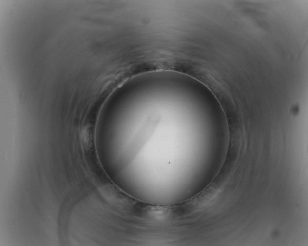 X0000092100088200709191316