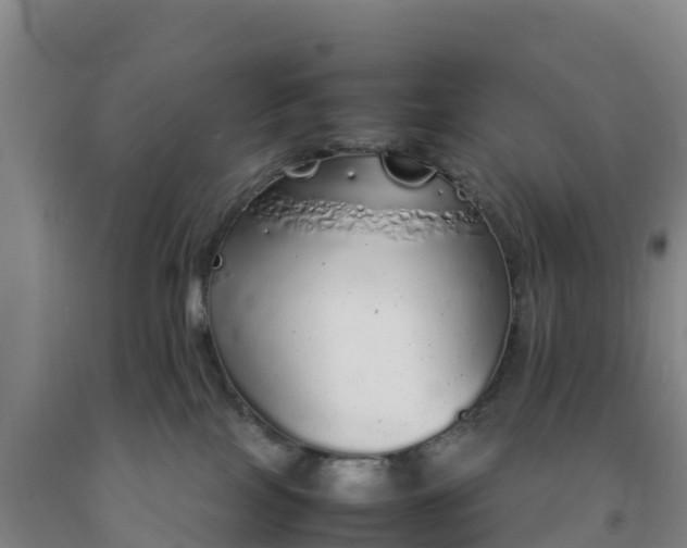 X0000092100089200709191316