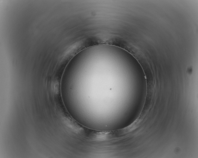 X0000092100090200709191316