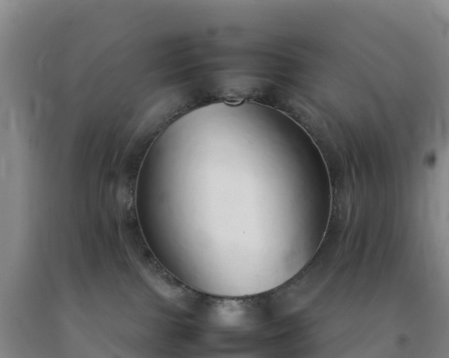 X0000092100091200709191316