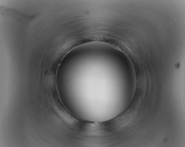 X0000092100092200709191316