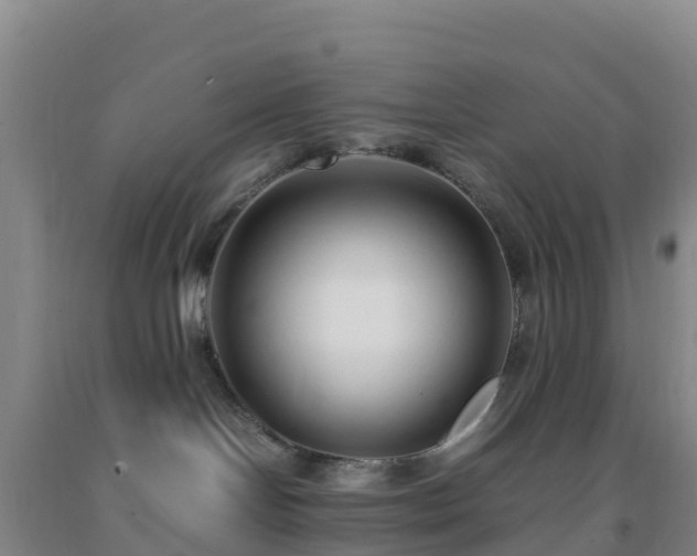 X0000092100094200709191316