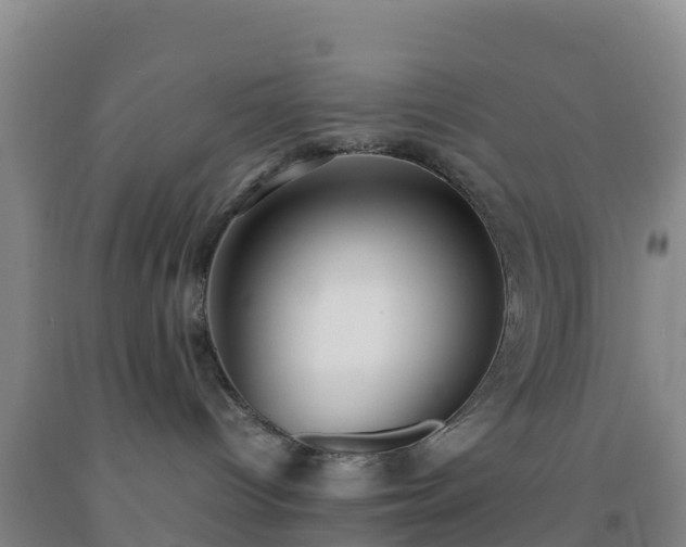 X0000092100096200709191316