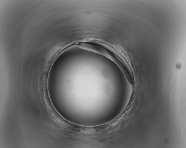 X0000092100097200709191315