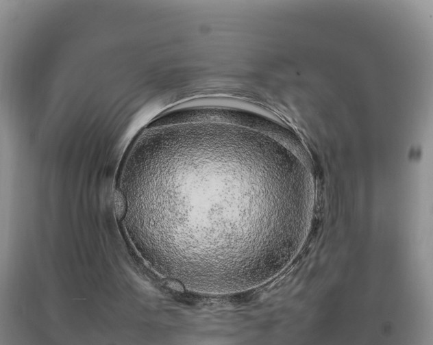 X0000092100099200709191315