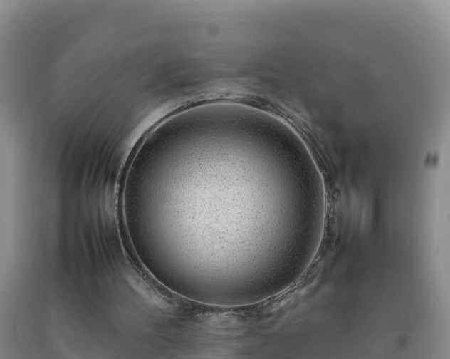 X0000092100100200709191315