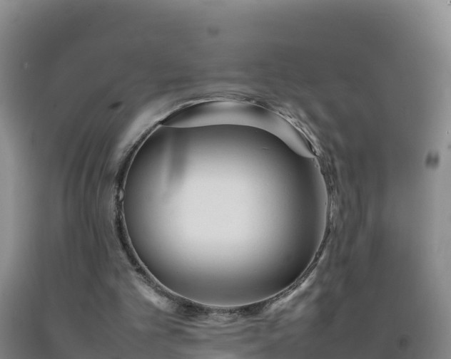 X0000092100101200709191315