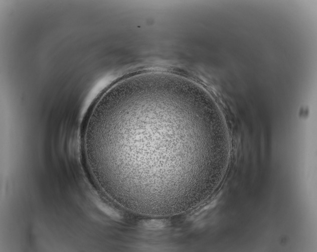 X0000092100102200709191315