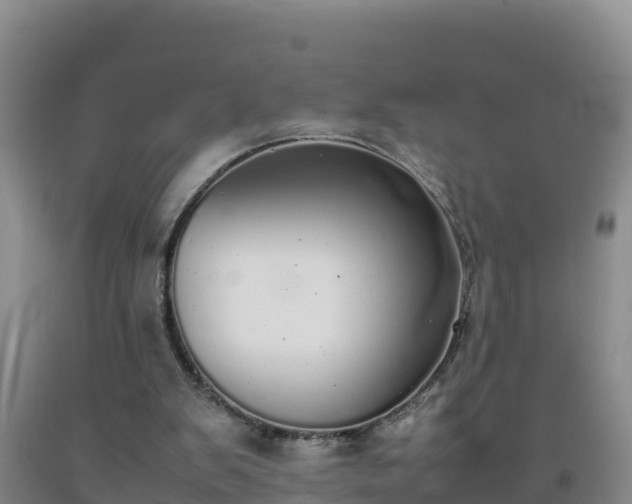 X0000092100103200709191315