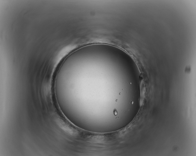 X0000092100104200709191315