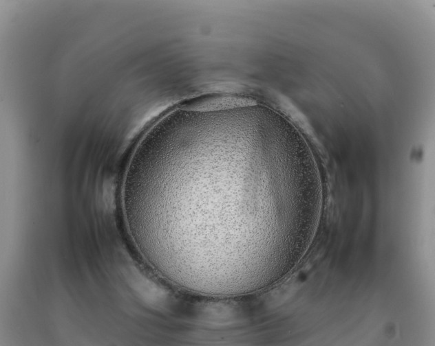 X0000092100106200709191315