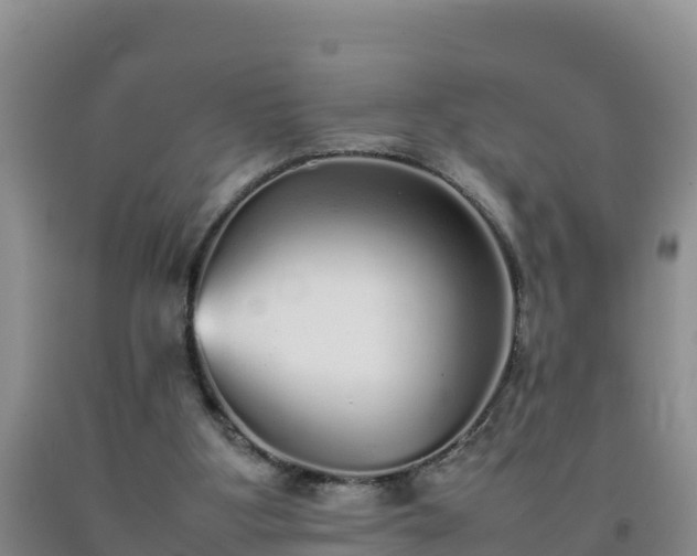 X0000092100107200709191315