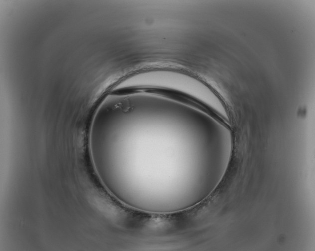 X0000092100111200709191315