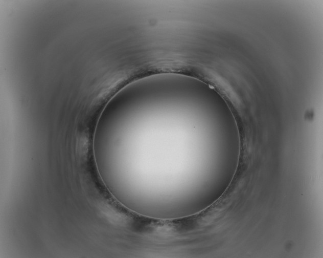 X0000092100113200709191315