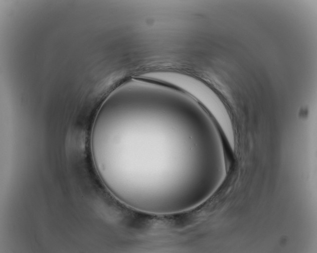 X0000092100115200709191315