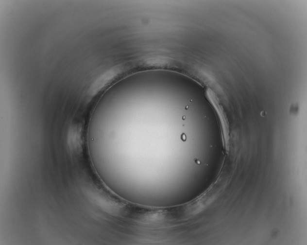 X0000092100116200709191315