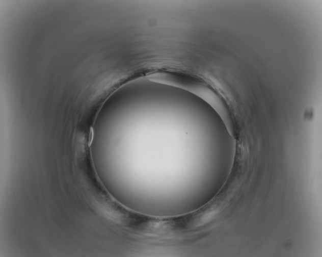 X0000092100117200709191315