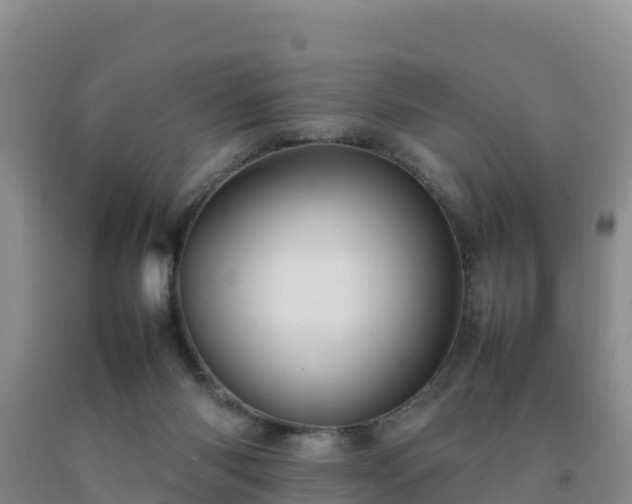 X0000092100118200709191315