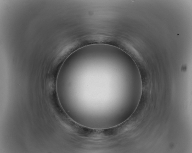 X0000092100119200709191315