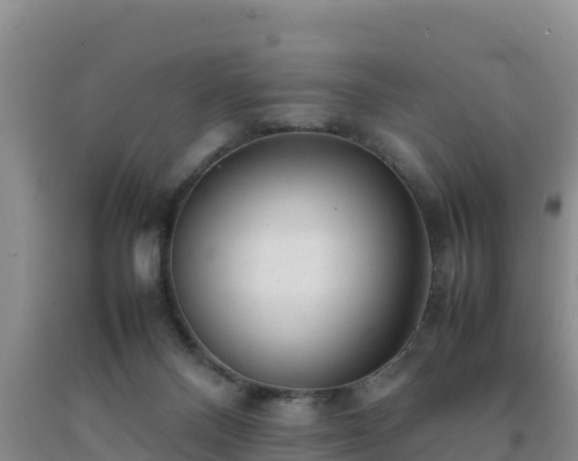 X0000092100120200709191315