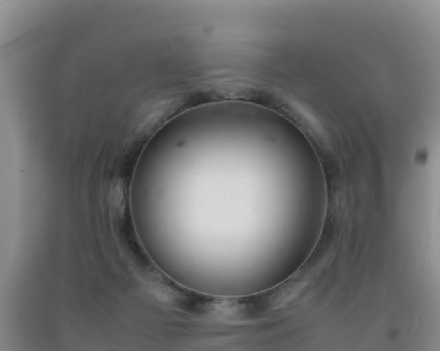 X0000092100121200709191315