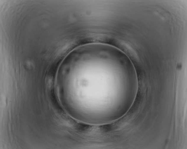 X0000092100123200709191315