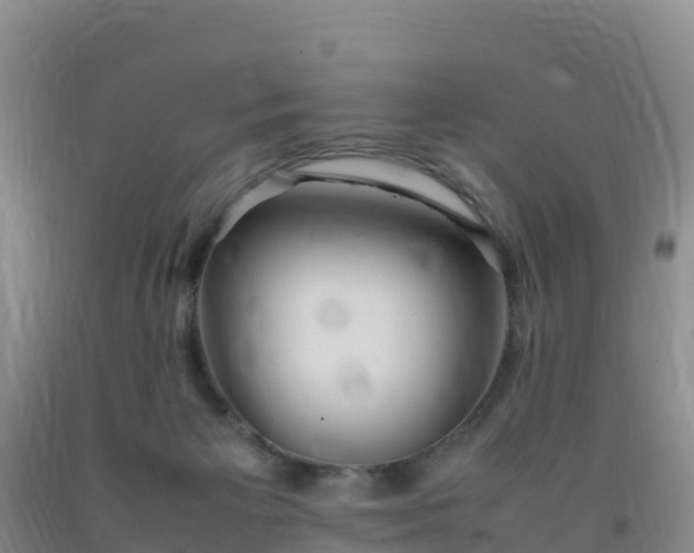 X0000092100125200709191315