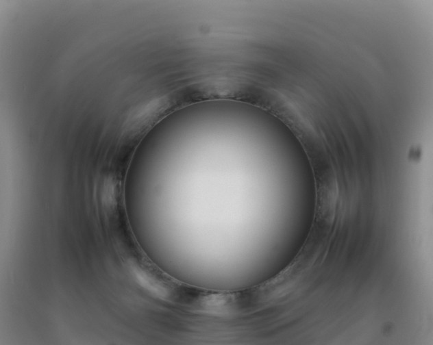 X0000092100126200709191315