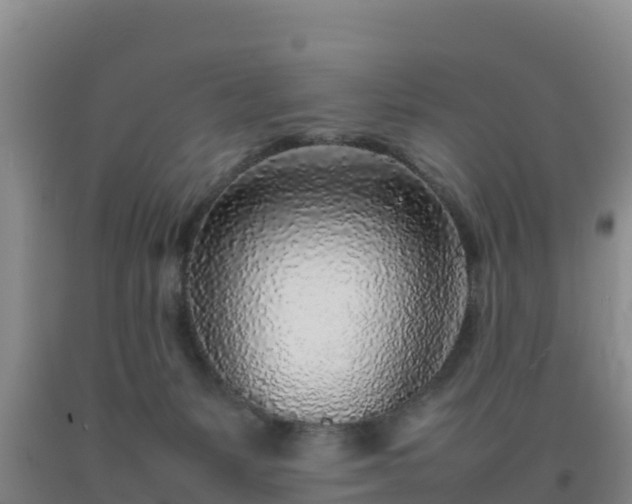 X0000092100127200709191315