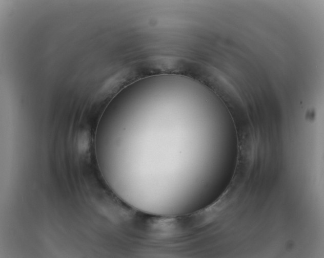 X0000092100132200709191315