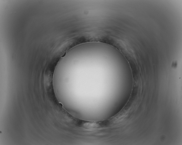 X0000092100133200709191315