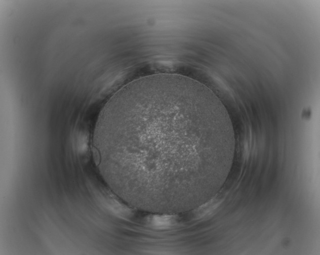 X0000092100134200709191315