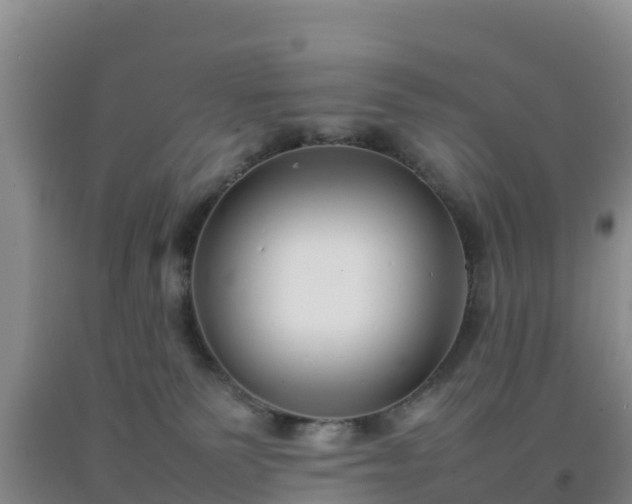 X0000092100135200709191315