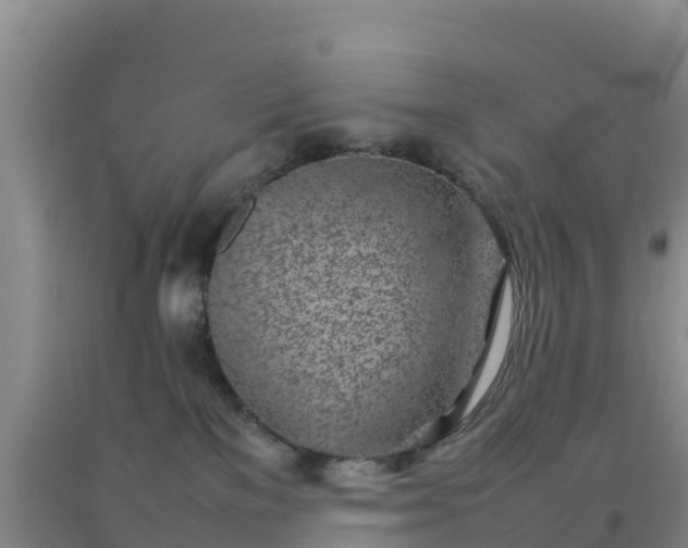 X0000092100137200709191315