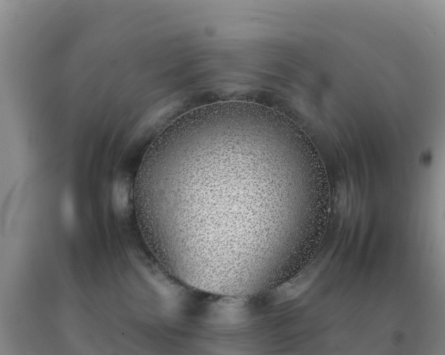 X0000092100138200709191315