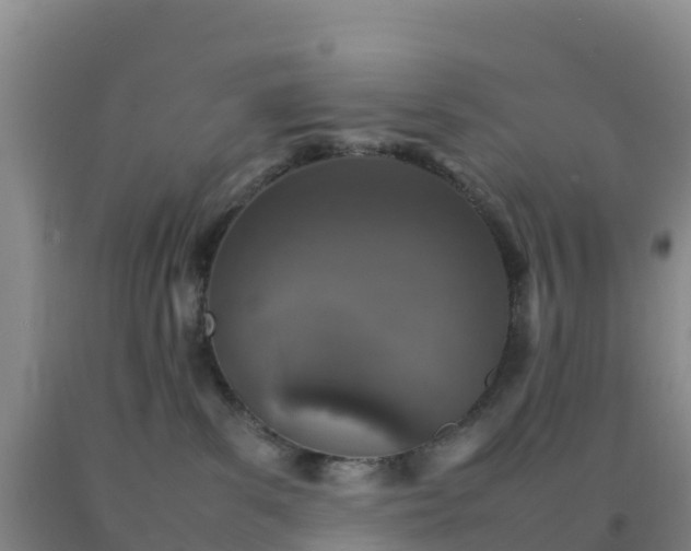 X0000092100139200709191315